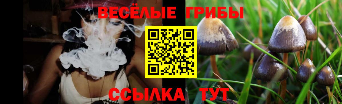 Галлюциногенные грибы мицелий  Галлюциногенные грибы мухоморы  Белогорск  Вход с VPN 